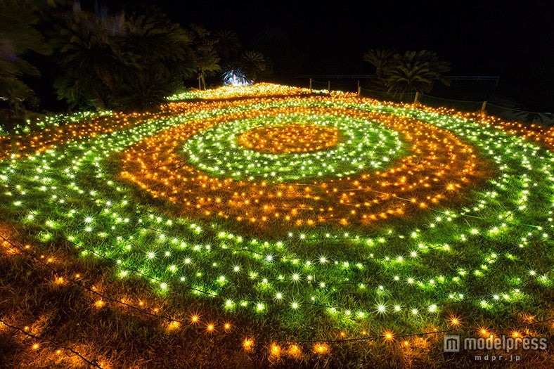 「グランイルミ」／画像提供：伊豆シャボテン公園