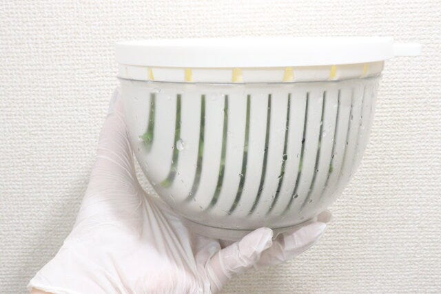 保存できる蓋付ザルボウル 水切り 保存できる蓋付ザルボウル 水切り