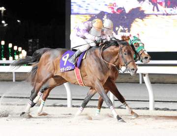 【地方競馬】兵庫所属のオディロンの次走は5月4日の名古屋グランプリ