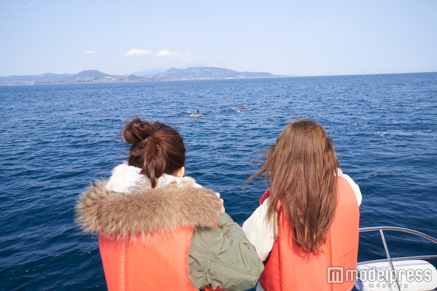 青い空と海、そしてイルカの群れを一度に楽しめる