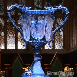 炎のゴブレット/ワーナー ブラザース スタジオツアー東京 – メイキング・オブ・ハリー・ポッター(C)モデルプレス