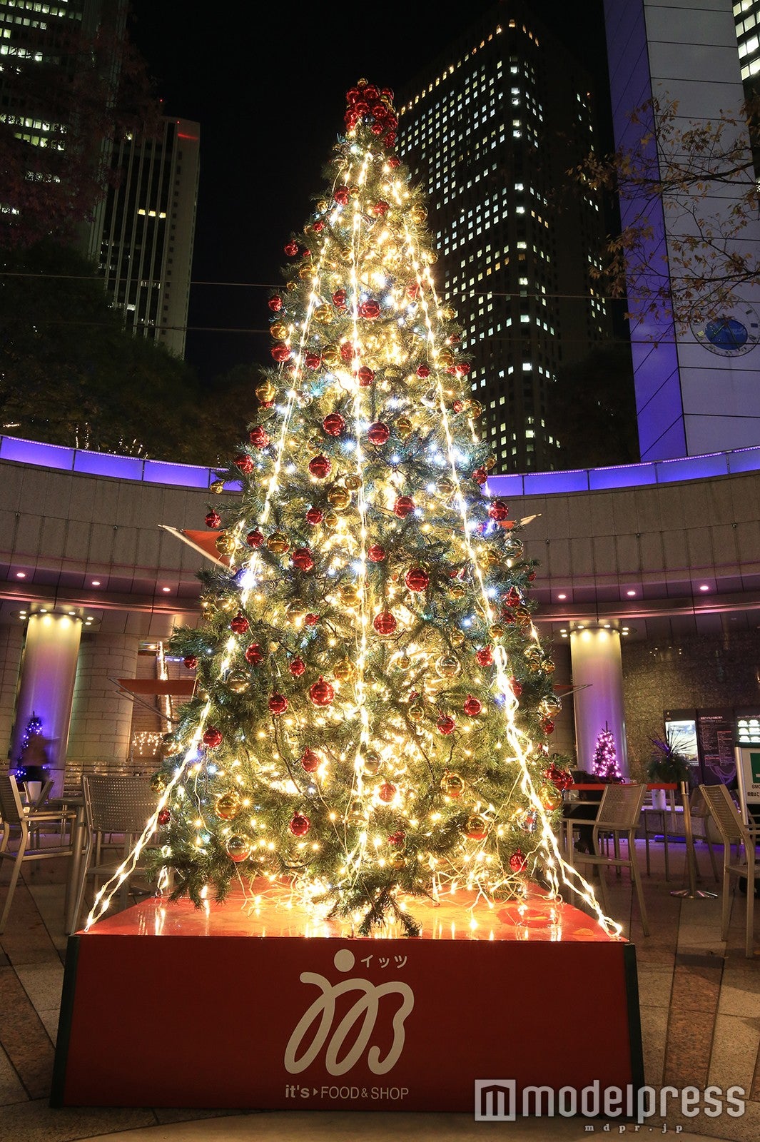 新宿アイランド・パティオ内クリスマスツリー／画像提供：西新宿街ぐるみプロジェクト