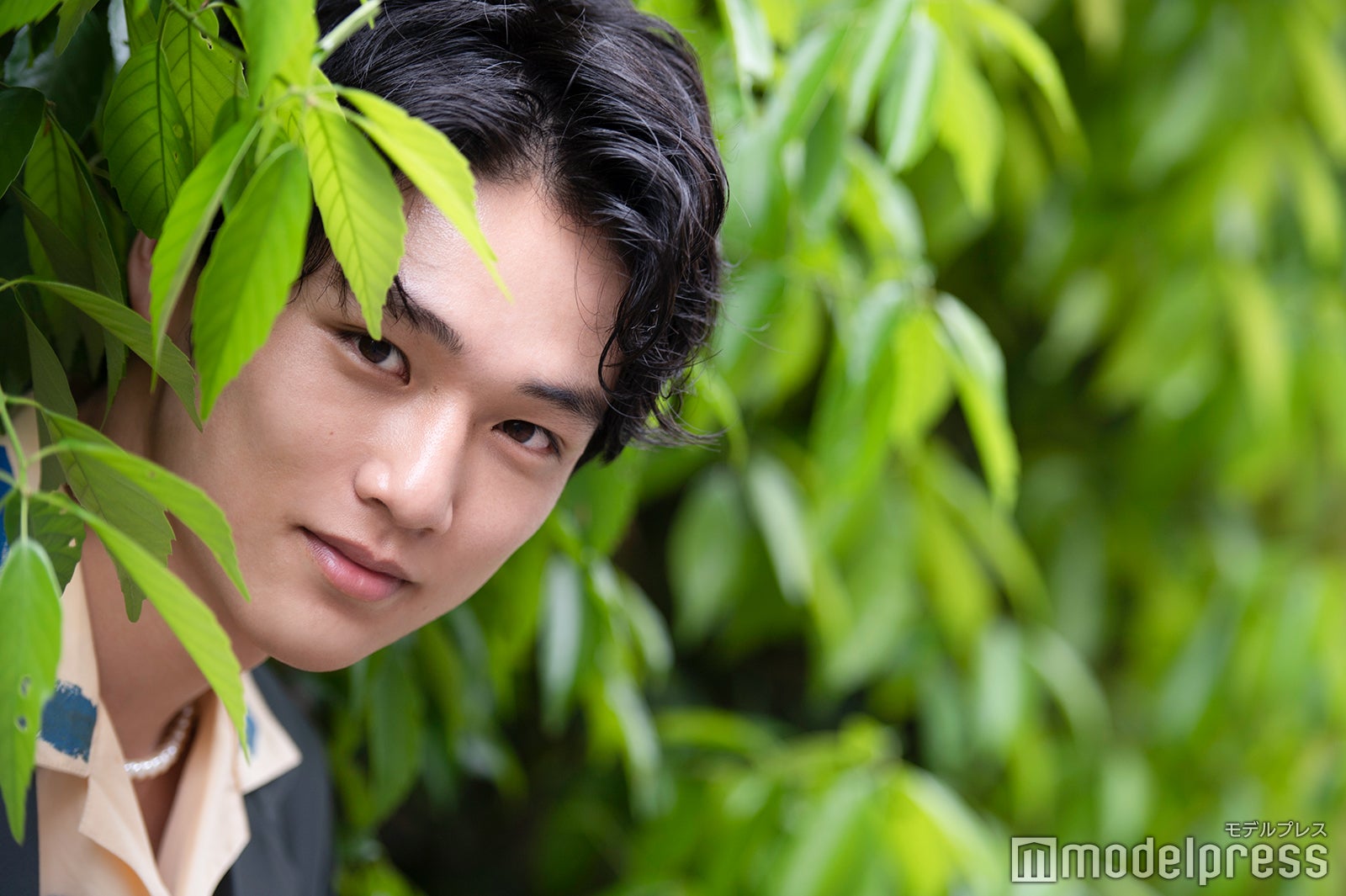 中川大輔（C）モデルプレス