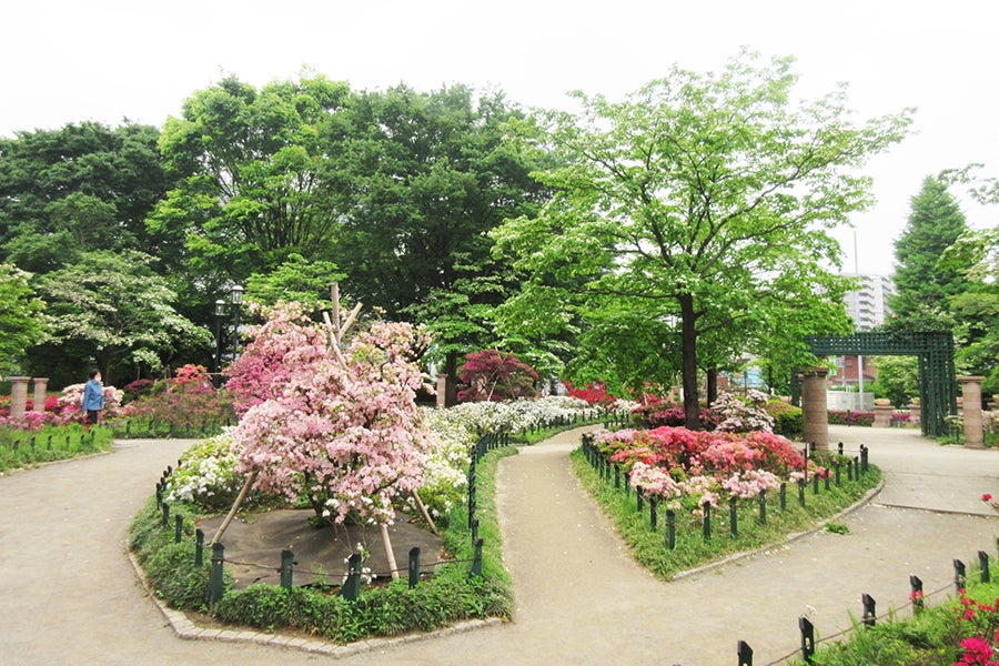 平成つつじ公園