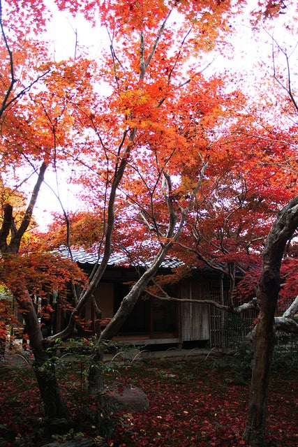 厭離庵 by cyesuta