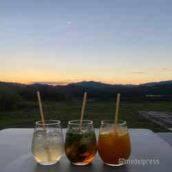 左から:青じそのジントニック、レモンバームのアールグレイティーソーダ、カボチャとオレンジのジュース(各750円)季節により内容が変更となる場合があります(C)モデルプレス