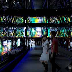 「クラゲ万華鏡トンネル」夜バージョン/画像提供:すみだ水族館