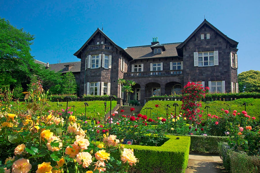 旧古河庭園 春のバラフェスティバル