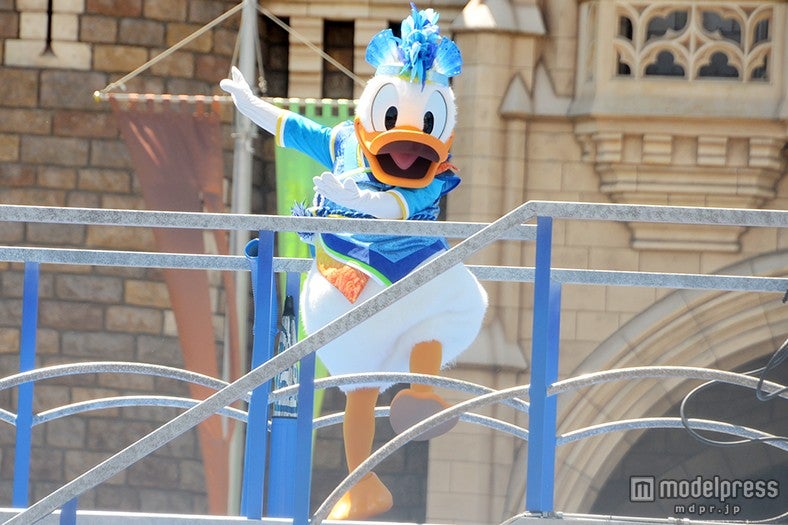 ドナルド／雅涼群舞