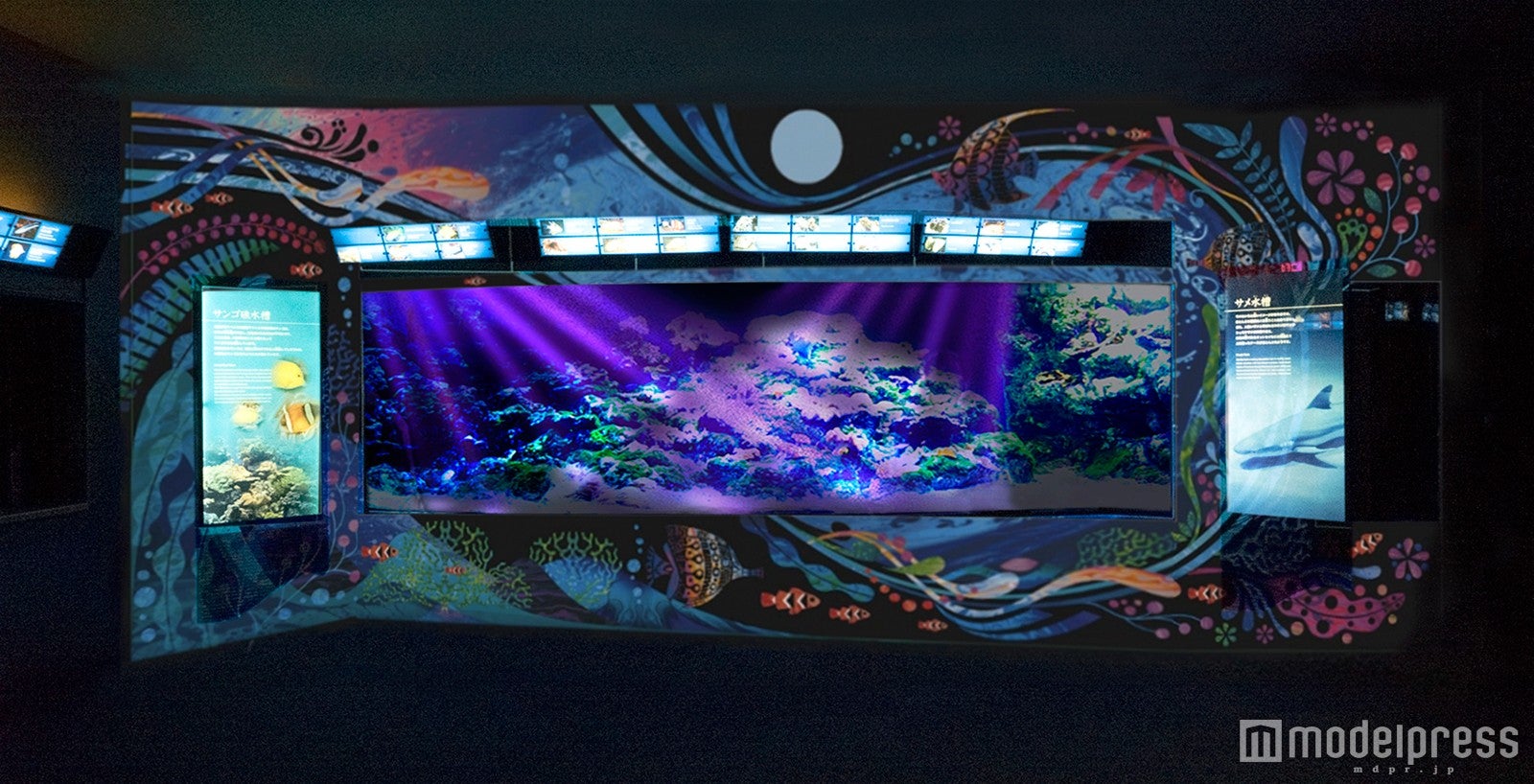 輝く生きものたちの舞［太平洋～クラゲサイエンス］／画像提供：新江ノ島水族館