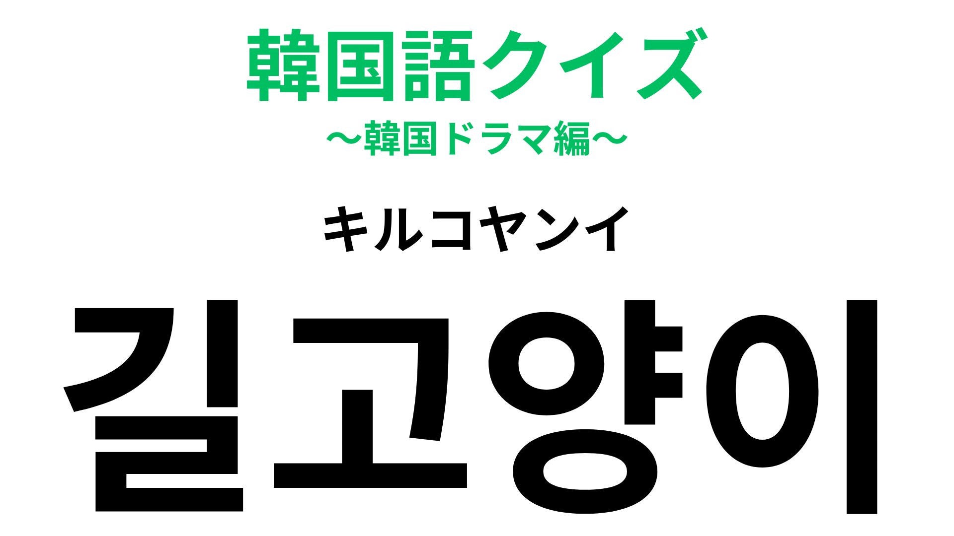 「길고양이（キルコヤンイ）」の意味は？直訳すると「道ネコ」…！？【韓国語クイズ】