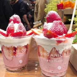 ダイエットに最適。青山のNEWスポット「LIVING ORGANICS JUICE&PLACE」