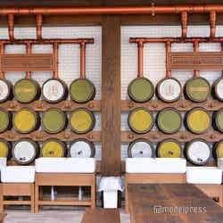 ワーナー ブラザース スタジオツアー東京 ‐ メイキング・オブ・ハリー・ポッター(C)モデルプレス