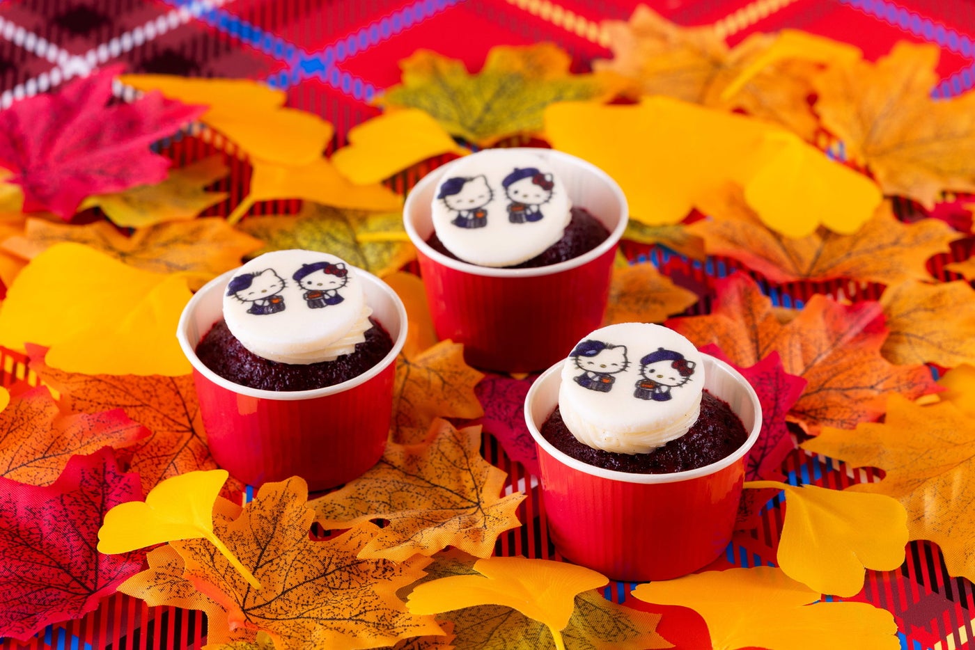 HELLO KITTY Autumn Picnic（提供写真）
