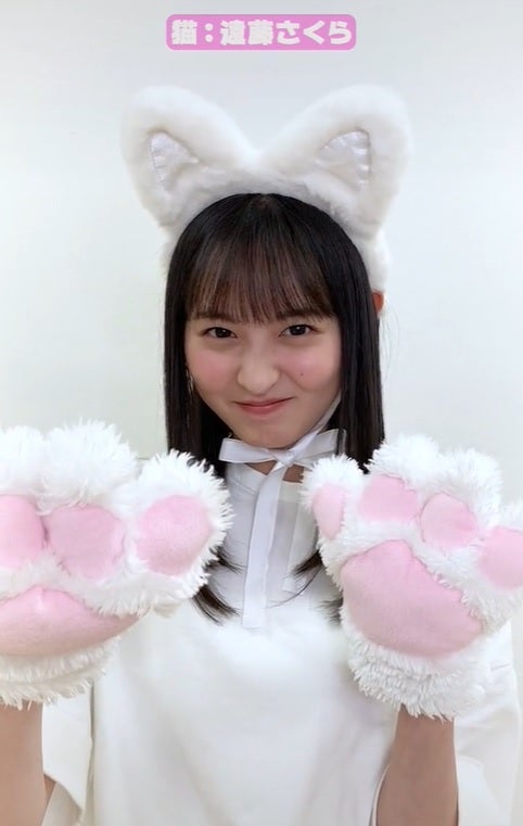 乃木坂46 - 井上 干支 猫耳 遠藤 川﨑 猫耳 4コンプ 2025-05-06 乃木坂