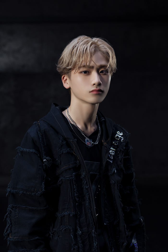 SHOU(C) Stardust Promotion,Inc.
