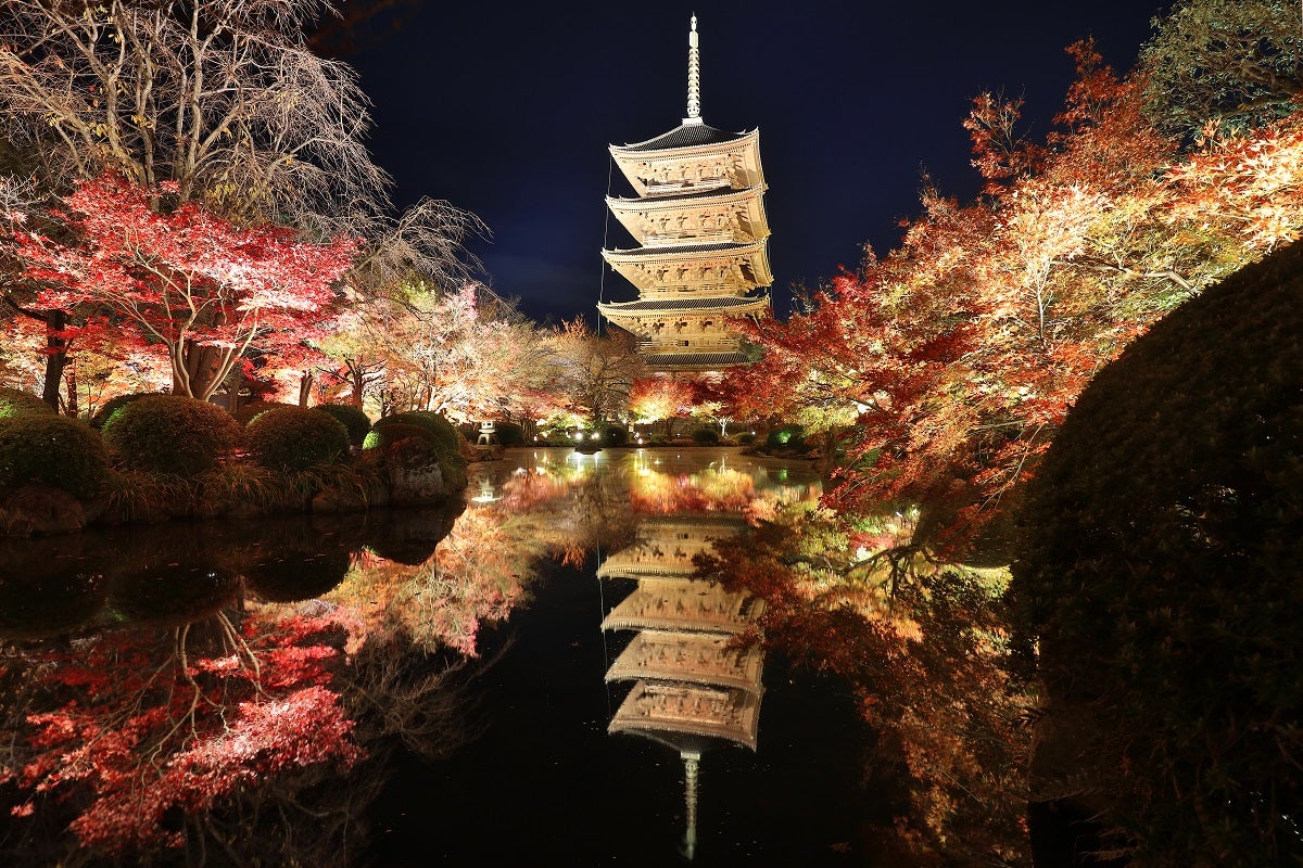 東寺（提供元：東寺）