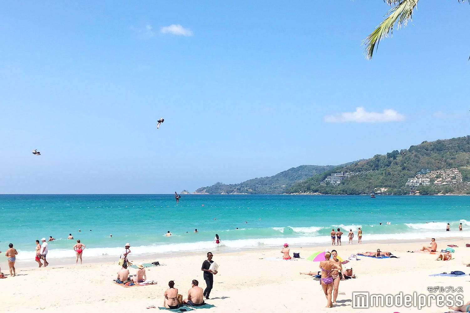 タイ・プーケット島でロックダウン、新型コロナ影響で 空港も閉鎖