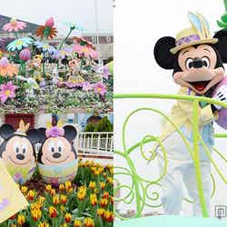 ディズニーランド、春の楽しみ方を紹介／（C）Disney【モデルプレス】