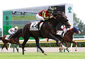 【新馬戦】チェスティーノ 期待に応え完勝 鹿戸師「いいものがあると改めて実感した」