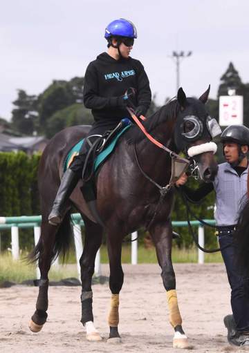 【新馬戦】ジョドレルバンク 開幕週から大物候補の登場だ 父はエフフォーリア 期待の良血馬に武井師がべた褒め「負ける要素ない」