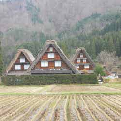先人の頃より冬を乗り切るために用いられた茅葺屋根の木造建築/提供画像