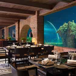 コラル/画像提供:アプルバ ケンピンスキ バリ