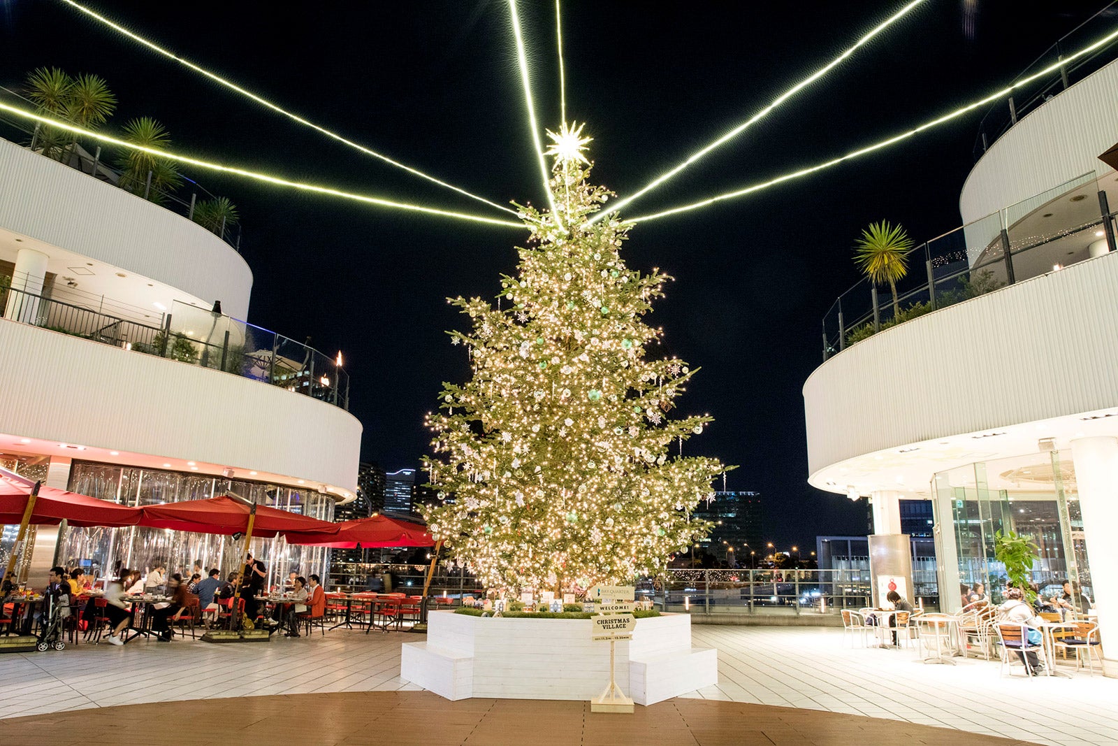 高さ8mの生のモミの木が立つ広場／画像提供：横浜ダイヤビルマネジメント株式会社