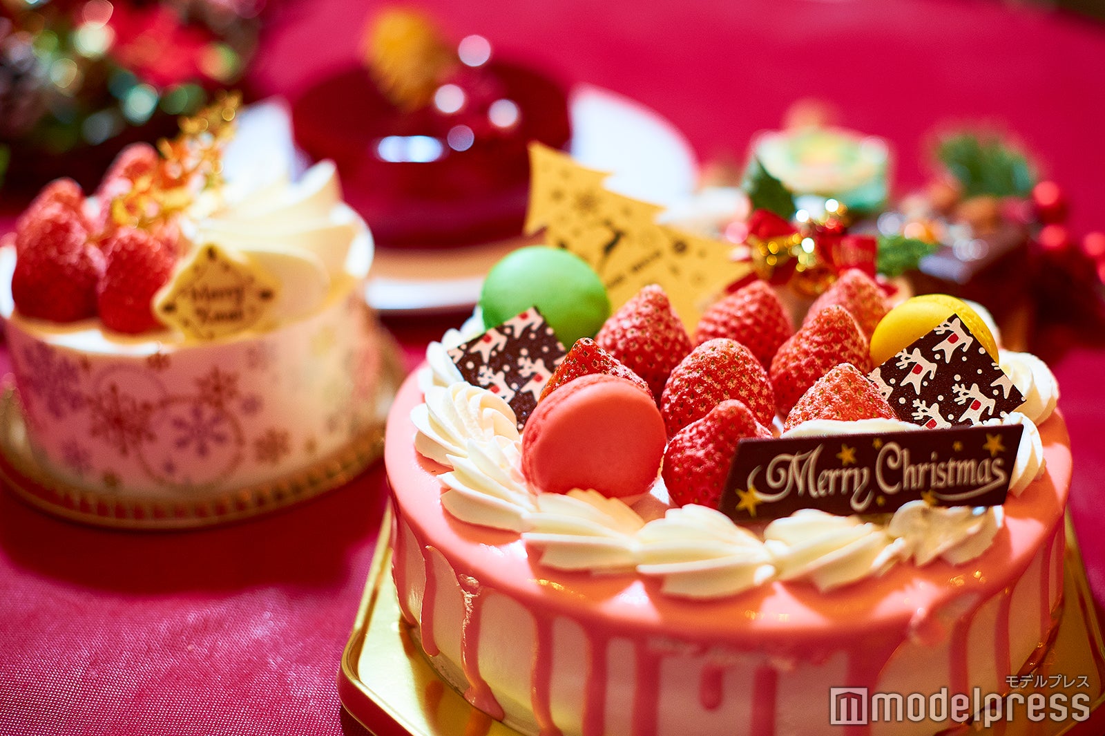 ケーキの持ち込みもOK（C）モデルプレス