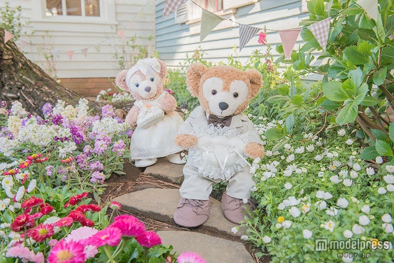 ダッフィー、ウェディングを盛り上げる　キュートなスタイルで登場