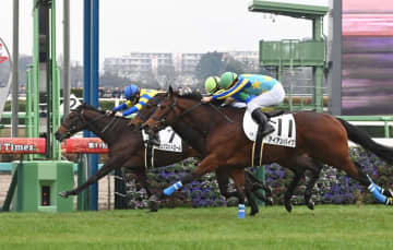 【新馬戦】リュクスパトロール 快逃V 加藤士師「軽い走りで器用な馬。坂もうまくこなしてくれた」