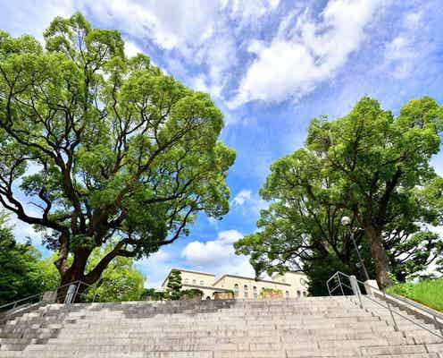 神戸市9区で「教育熱心」だと思うエリア2位は「灘区」、では1位は?【2025年最新】