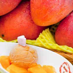 マンゴーの果肉がたっぷり載ったアイス