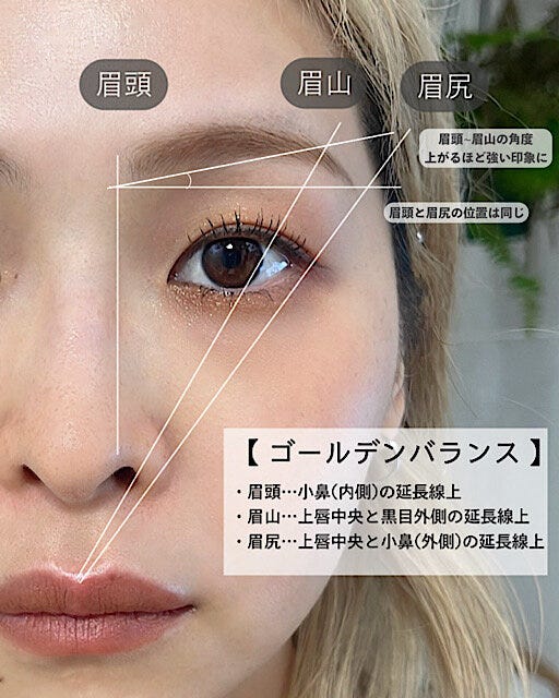 眉のゴールデンバランス　解説