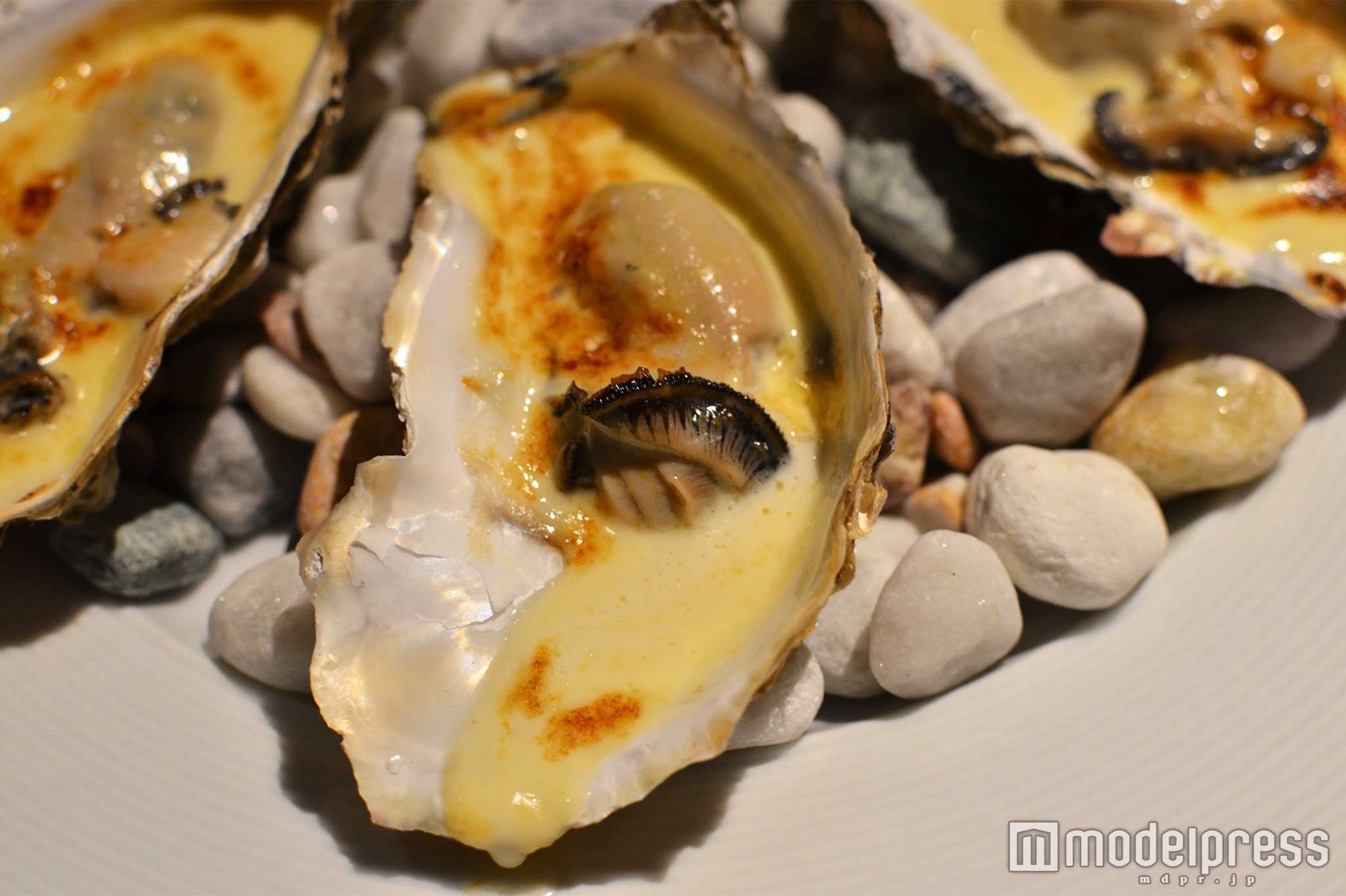 牡蠣のグラタン￥1200（2P）／（C）モデルプレス