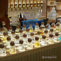 スーク(C)モデルプレス