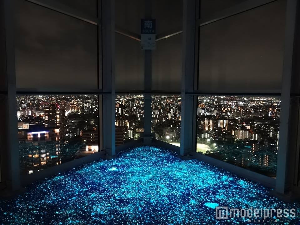 展望室からの夜景／画像提供：福岡タワー