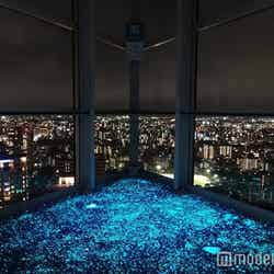 展望室からの夜景／画像提供：福岡タワー