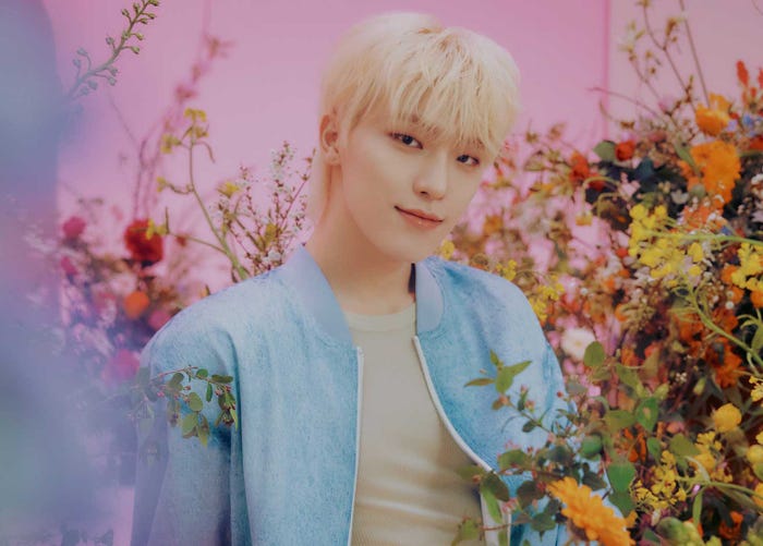 DINO(P)&(C)PLEDIS Entertainment