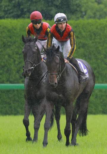 【宝塚記念】クロワデュノール 春古馬3冠ならず 首差届かず2着 北村友「かわせなかったのは残念」