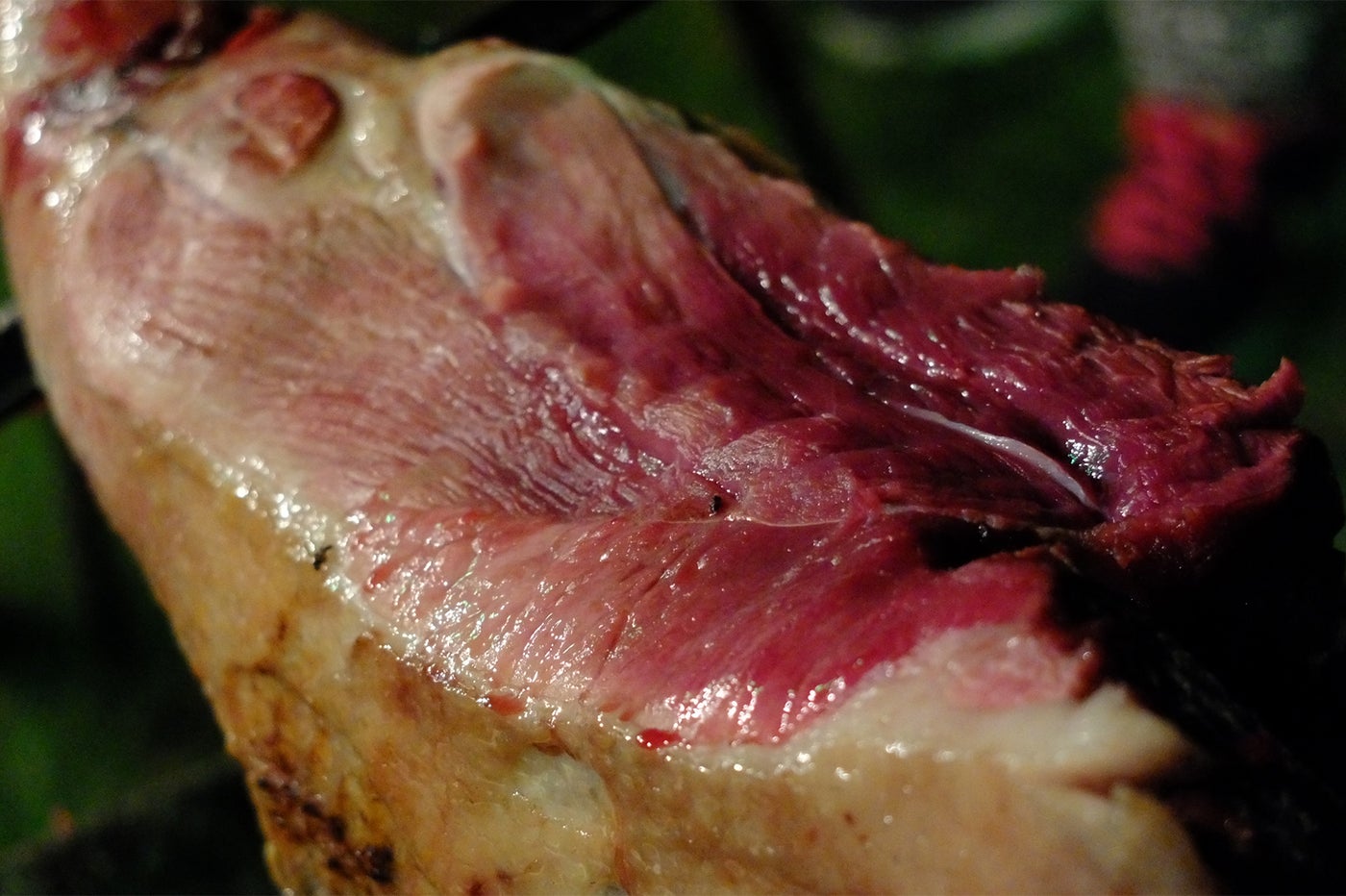 「しまなみイノシシ活用隊」の肉／画像提供：Gumption合同会社
