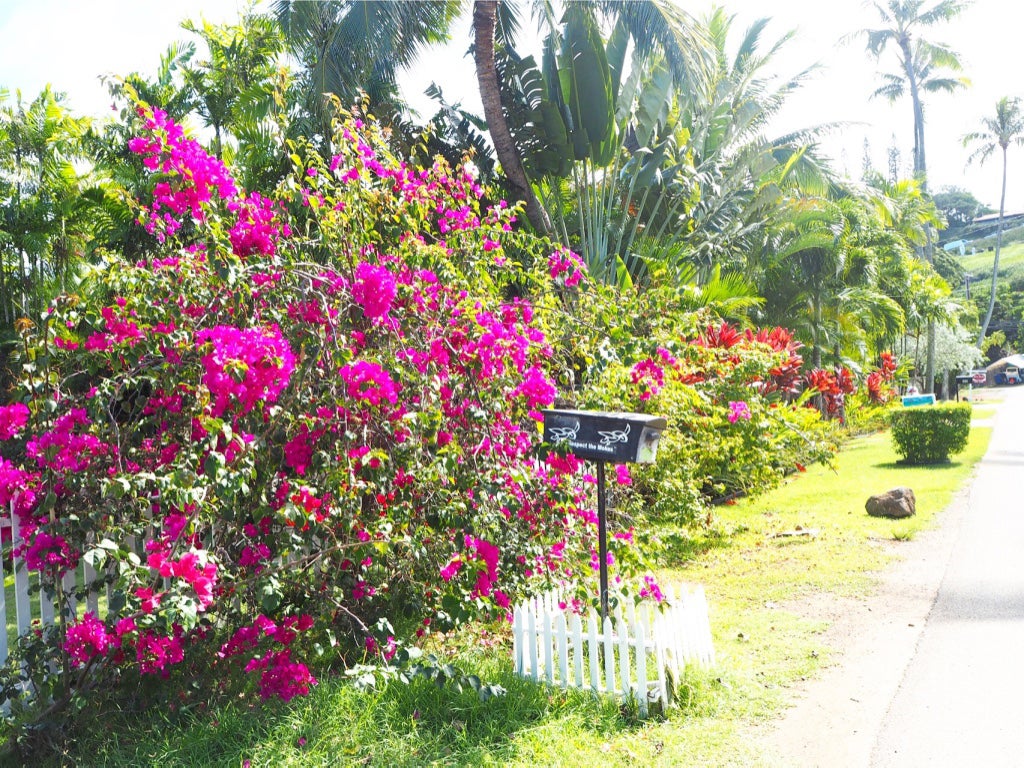 画像提供：女子Time