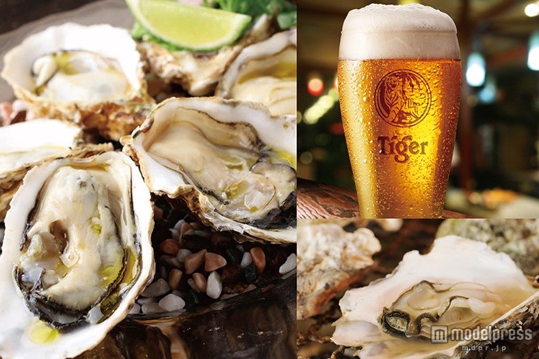「Oyster Bar wharf（ワーフ）」／画像提供：ルミネ