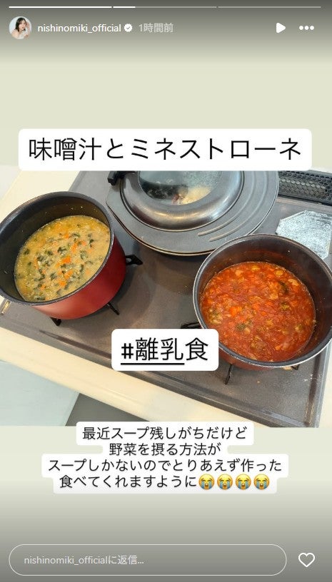 西野未姫Instagramストーリーズより