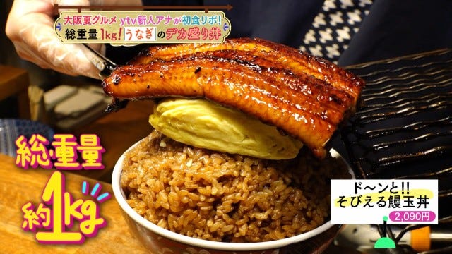 うなぎと玉子がドーンのデカ盛り丼も!「暑い夏に食べるべき大阪グルメ」3選
