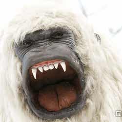 嵐・相葉雅紀がUHA味覚糖「グミガーム」新CMで共演した雪男