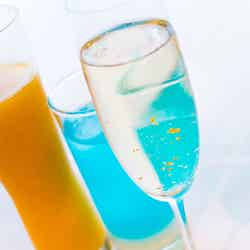 冬の星空観賞/画像提供:ミドルウッド