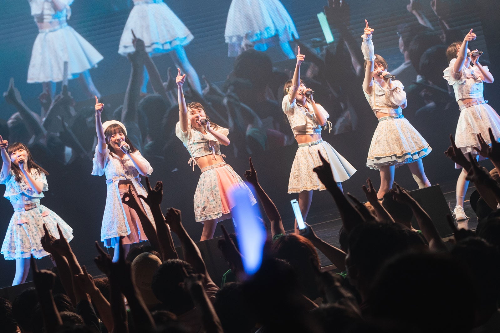 かすみ草とステラ／撮影：真島洸 （提供写真）