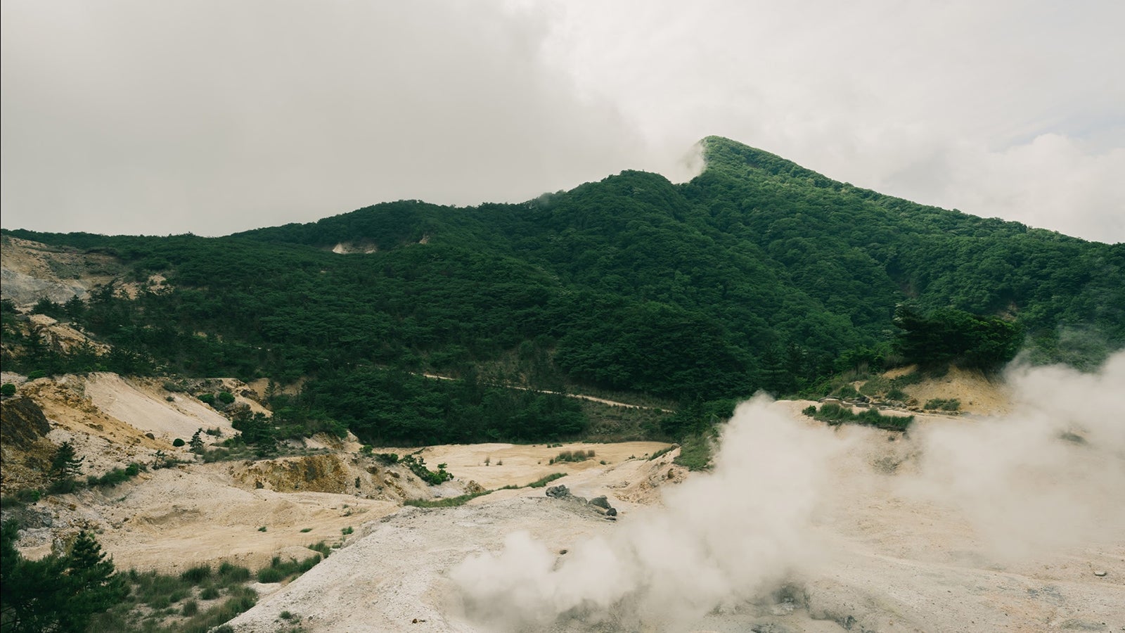 別府の風景（提供画像）