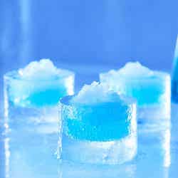 アイスヴィレッジ/画像提供:星野リゾート